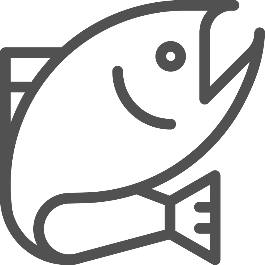 Fish icon