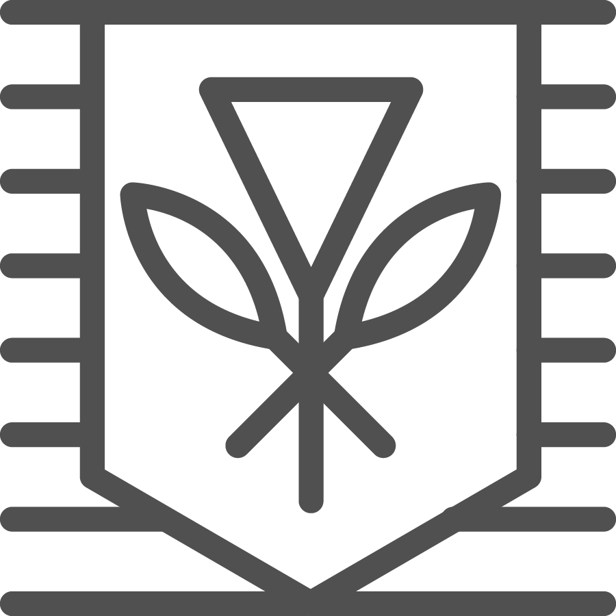 Hawaiian flag icon