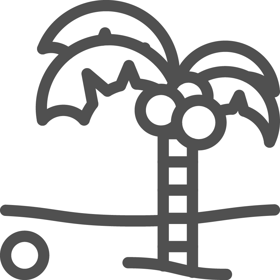 Coconut tree icon