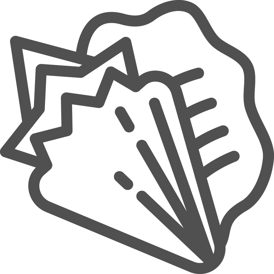 Conch shell icon