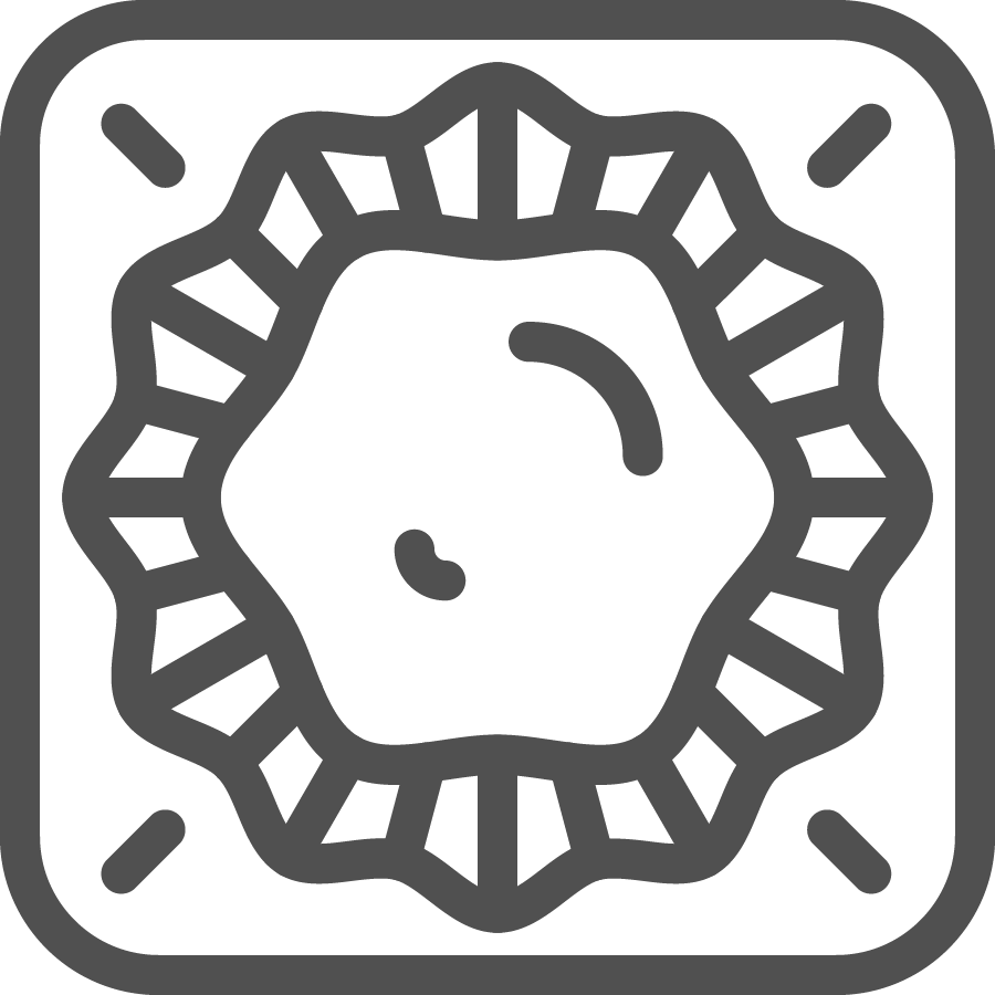 Chocolate macadamia icon