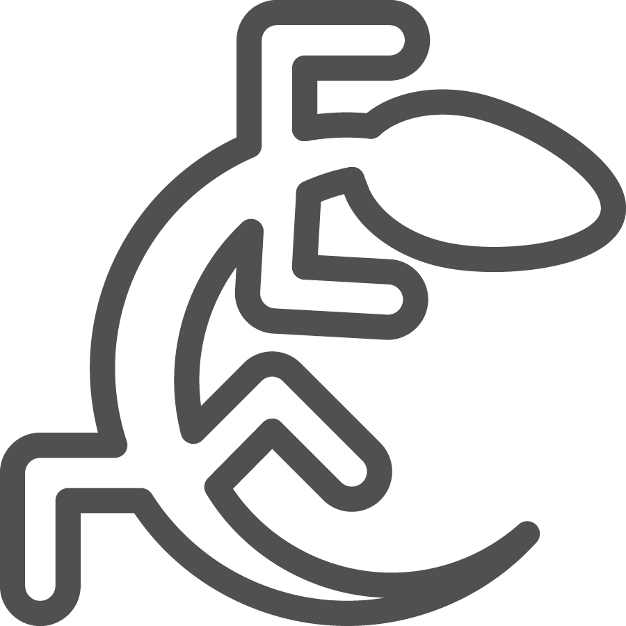 Gecko icon